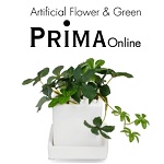 PRIMA Online(プリマオンライン)クーポン